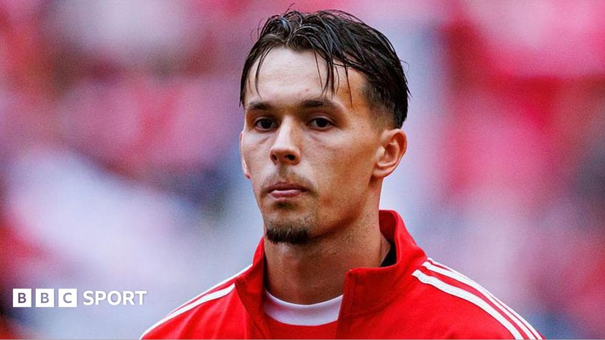 Newcastle progressing with move for Benfica defender Dedic