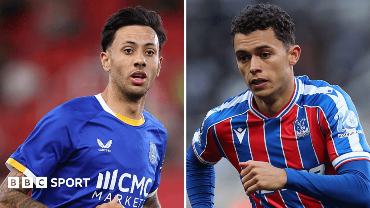 Everton and Palace complete McNeil-Johnson swap