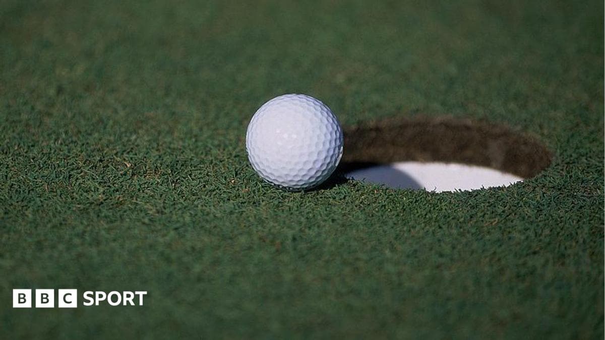 Golfer admits 'stupidity' after faking hole-in-one