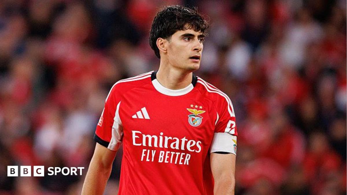 Bournemouth agree £26m fee for Benfica defender Silva