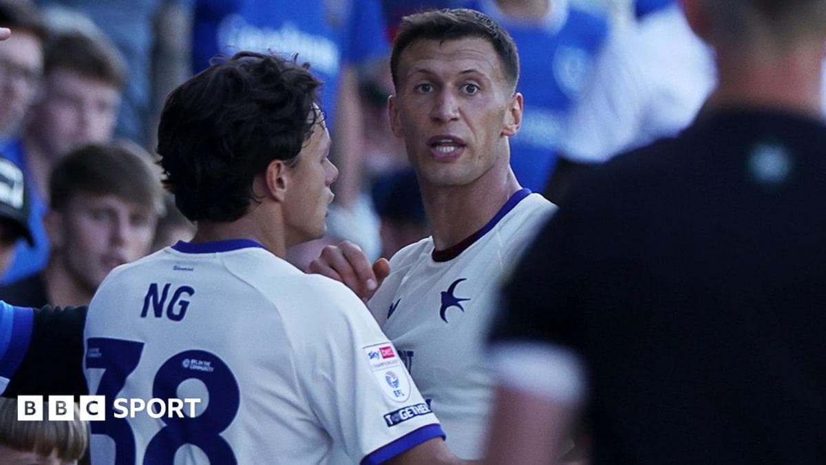 FA charges Cardiff's Bielik as police end inquiry
