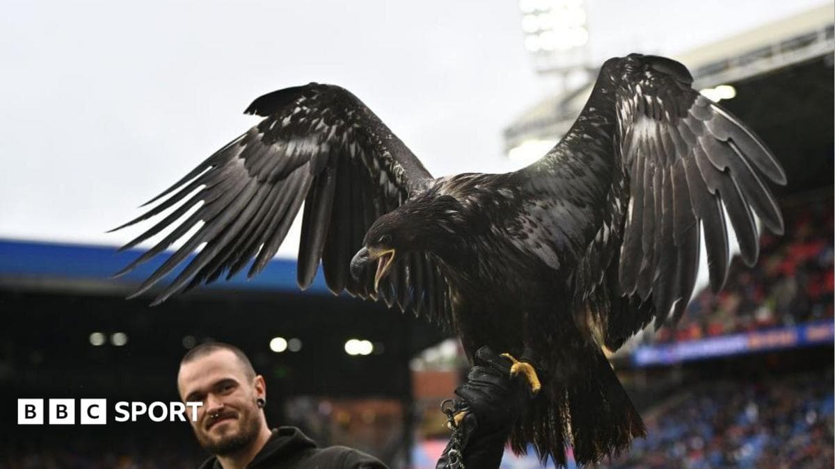 Crystal Palace urged to retire bald eagle mascot
