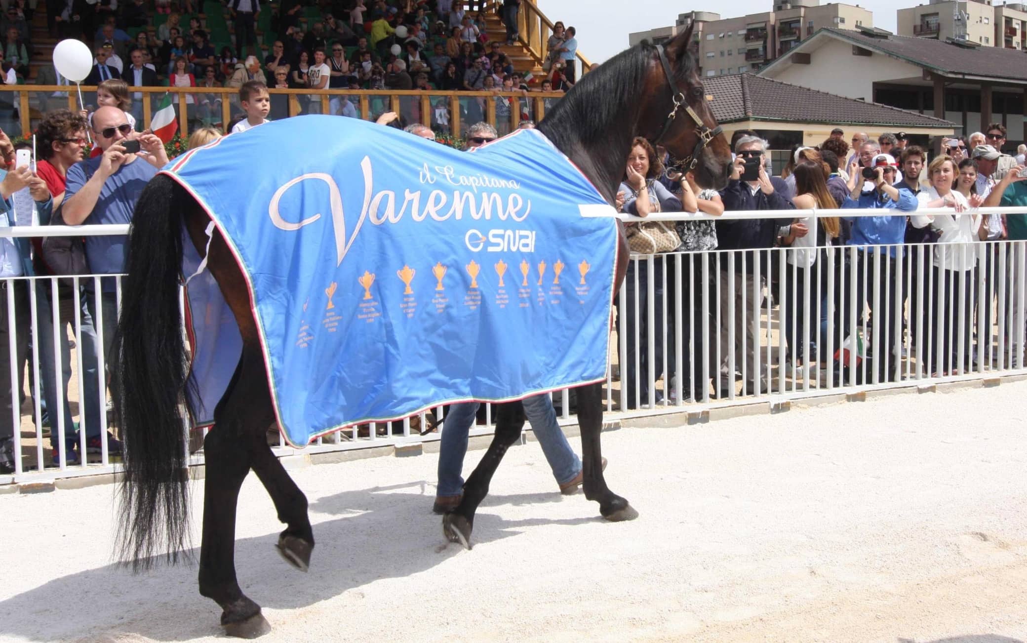Addio a Varenne, è morto il trottatore più forte di sempre