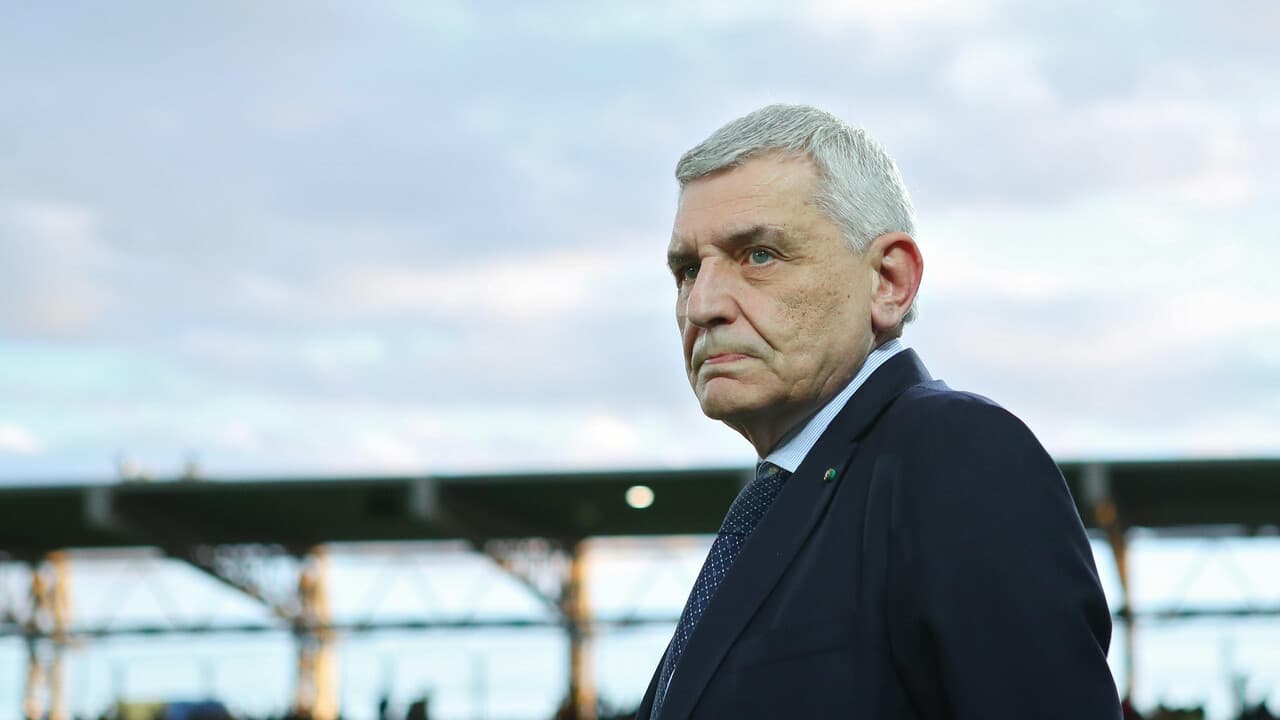 Frosinone: Stirpe 'nessun caso Alvini, ora serve la sintesi tra la base e i nuovi'